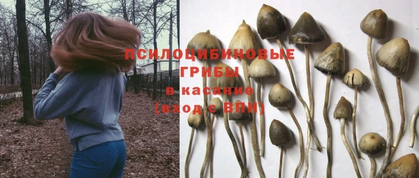 a pvp Михайлов