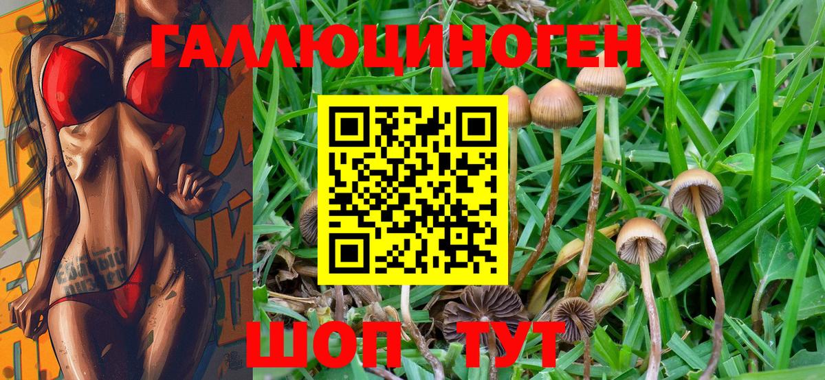 как найти закладки  Псилоцибиновые грибы мицелий  Екатеринбург  Галлюциногенные грибы прущие грибы 