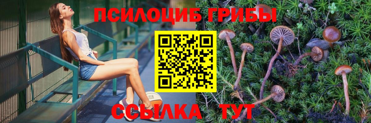 Галлюциногенные грибы GOLDEN TEACHER  Вход с VPN  Псилоцибиновые грибы GOLDEN TEACHER  Екатеринбург 