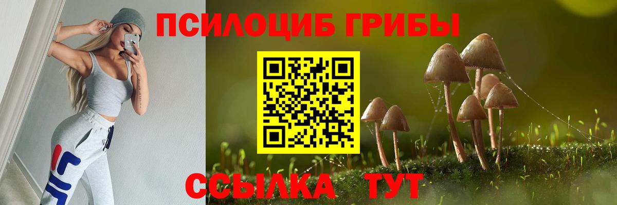 Псилоцибиновые грибы MAGIC MUSHROOMS Екатеринбург