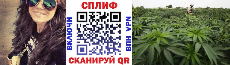 МАРИХУАНА план Екатеринбург