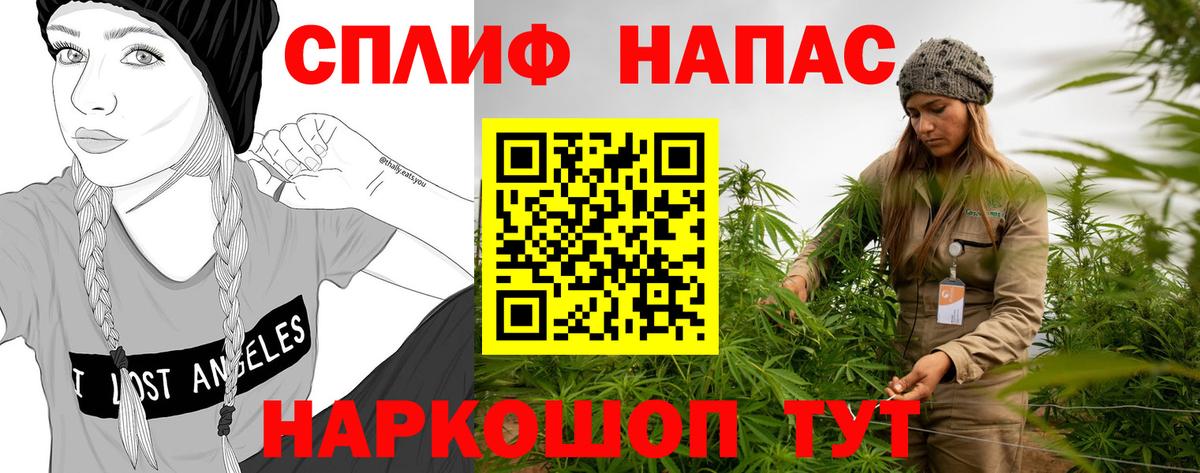 Конопля Ganja  Каннабис сатива  Екатеринбург 